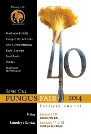 2014 Fungus Fair poster